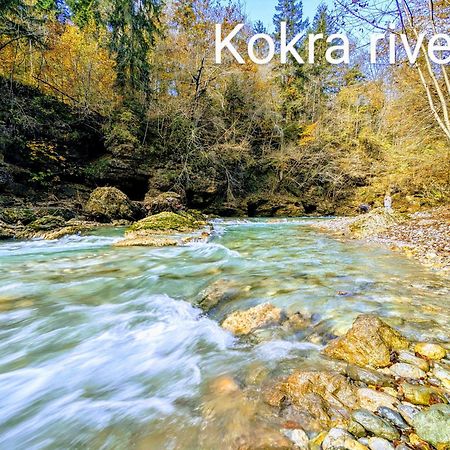 Domen'S Cozy Rentals Kranj városi község Kültér fotó