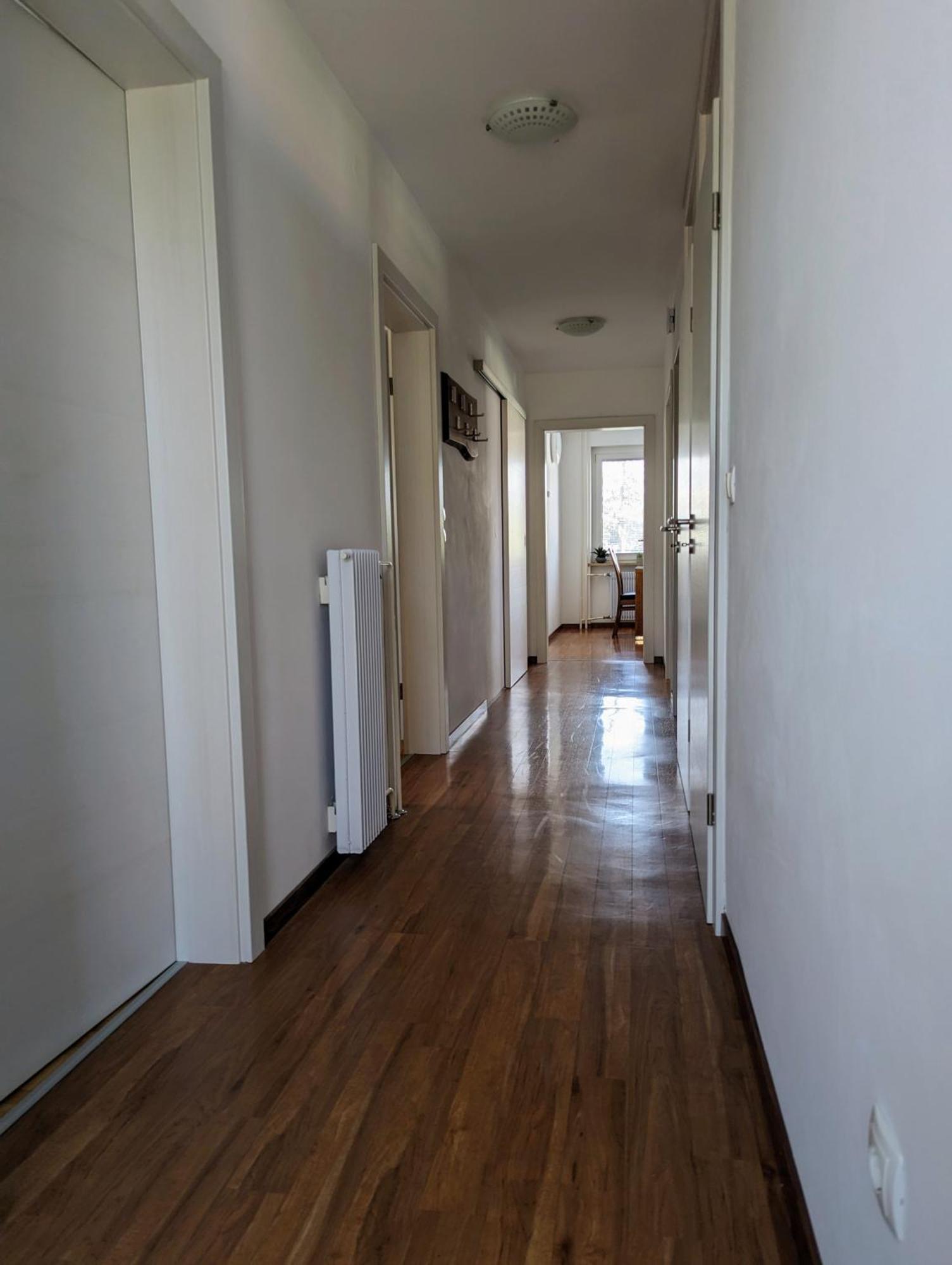 Domen'S Cozy Rentals Kranj városi község Kültér fotó