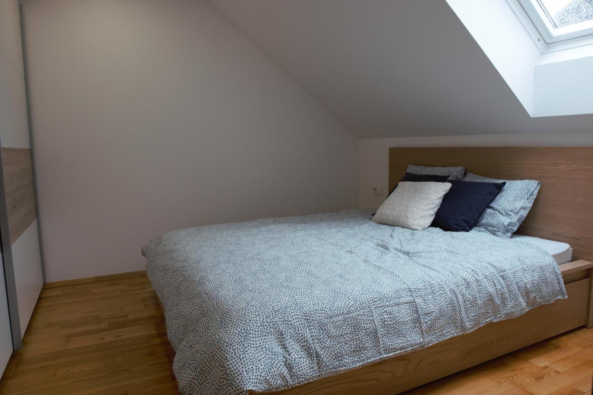 Domen'S Cozy Rentals Kranj városi község Kültér fotó