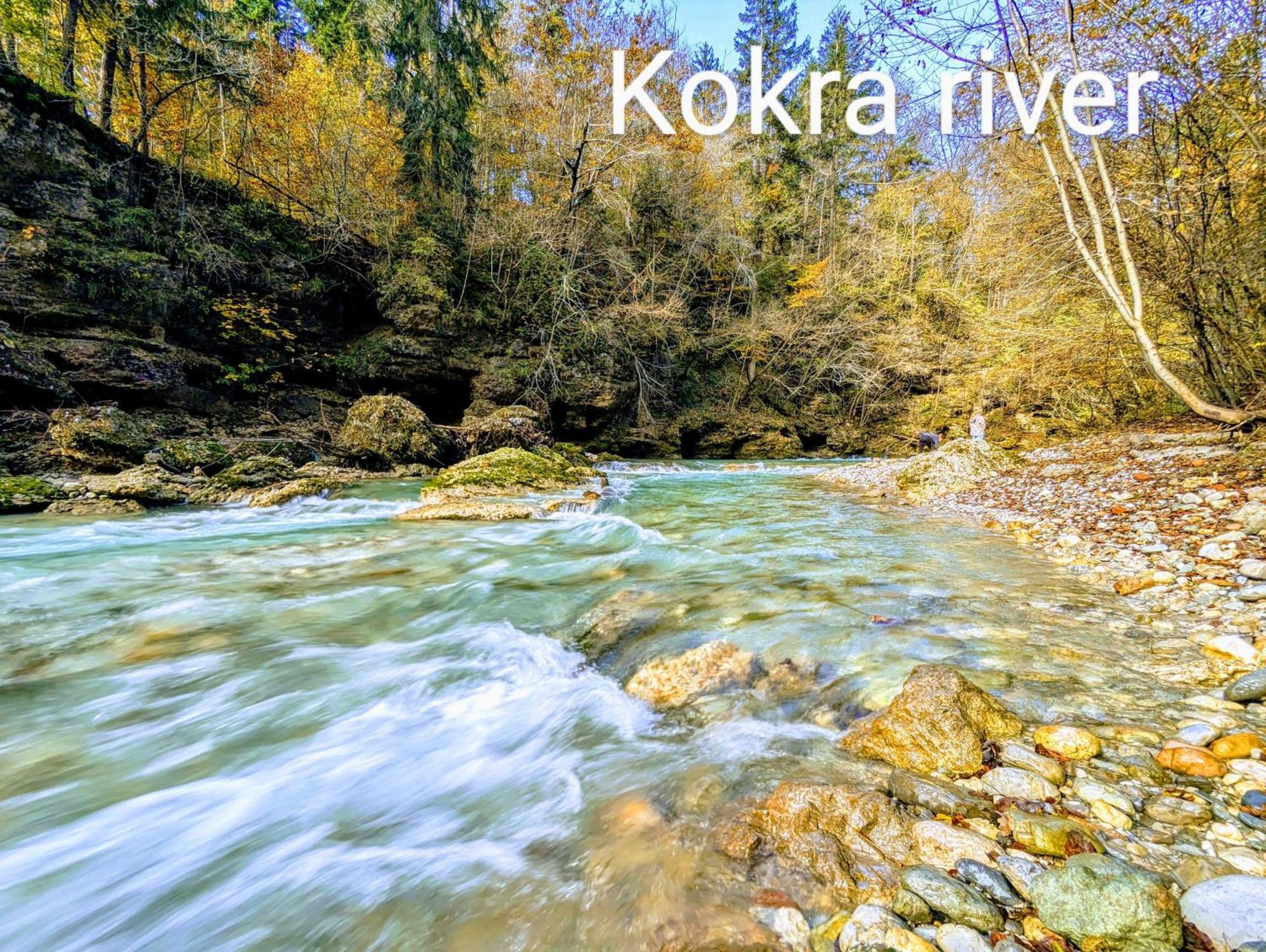 Domen'S Cozy Rentals Kranj városi község Kültér fotó
